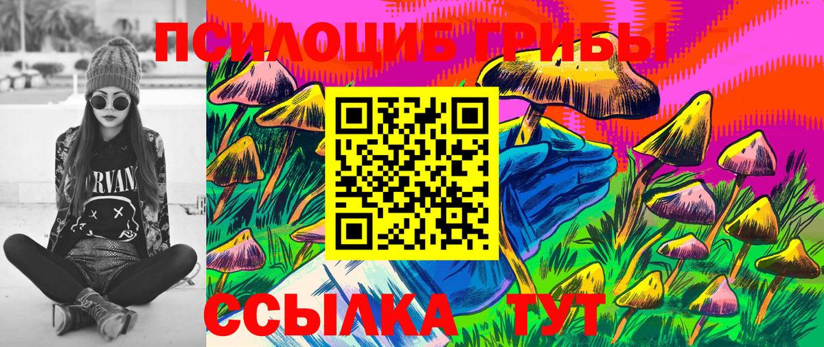 Галлюциногенные грибы Psilocybe Первоуральск